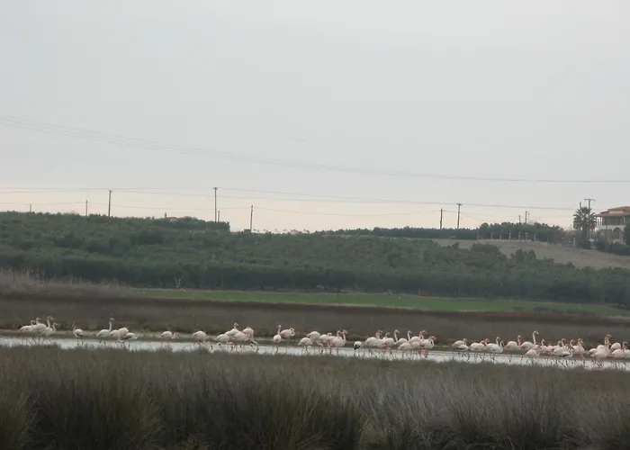 Aparthotel Seaview 4*