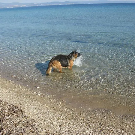Seaview Ξενοδοχείο με διαμερίσματα