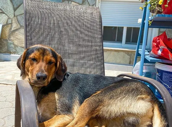 Seaview 4* Nea Poteidaia