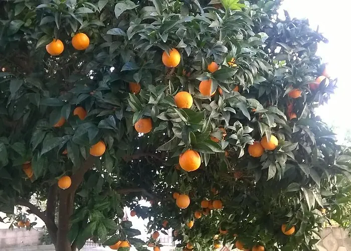 Apartahotel Seaview 4*